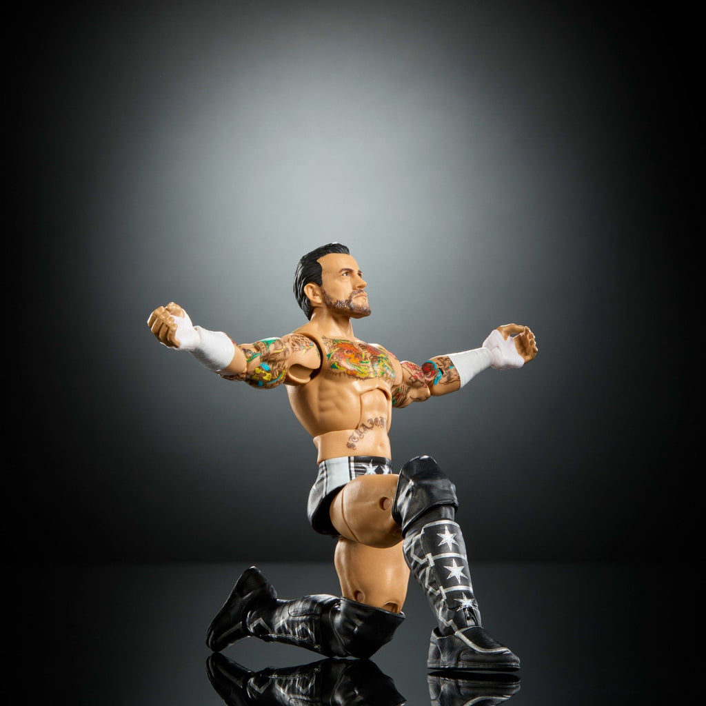 WWE Elite Cm Punk Action Figure, Series #124 Set, 6-Inch Collectible With Articulation & Accessories