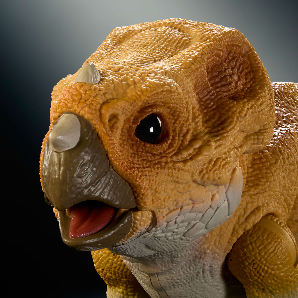 Jurassic World Hammond Collection Screen Scale Aquilops Dolores Dinosaur Figure, Real Feel & Glass Eyes