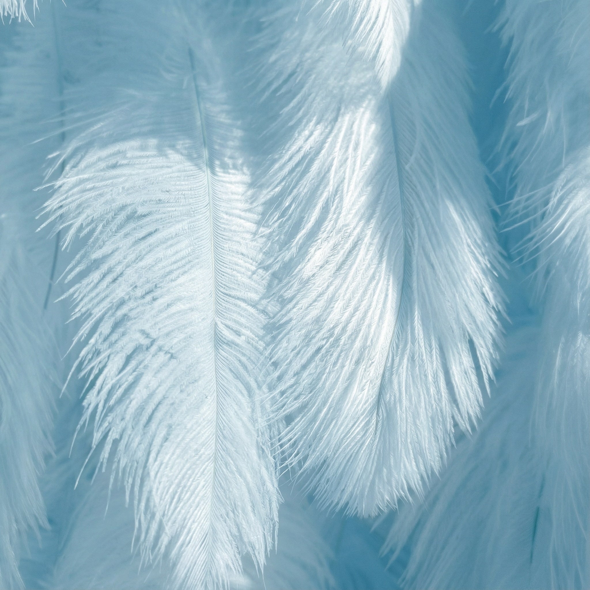 ValarFlowers Light Blue Artificial Feather Backdrop: Luxe Plume Display with 7+ Color Options & Custom Services. DIY Photo Booth Decoration-VF-164-Baby Blue
