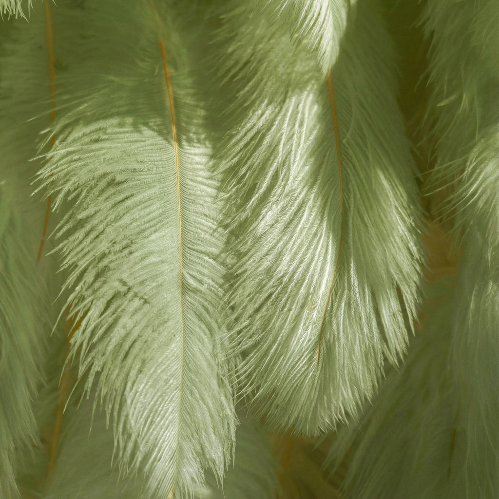 ValarFlowers Mint Green Artificial/ Avocado Feather Backdrop: Luxe Plume Display with 7+ Color Options & Custom Services. DIY Photo Booth Decoration-VF-164-Mint Green