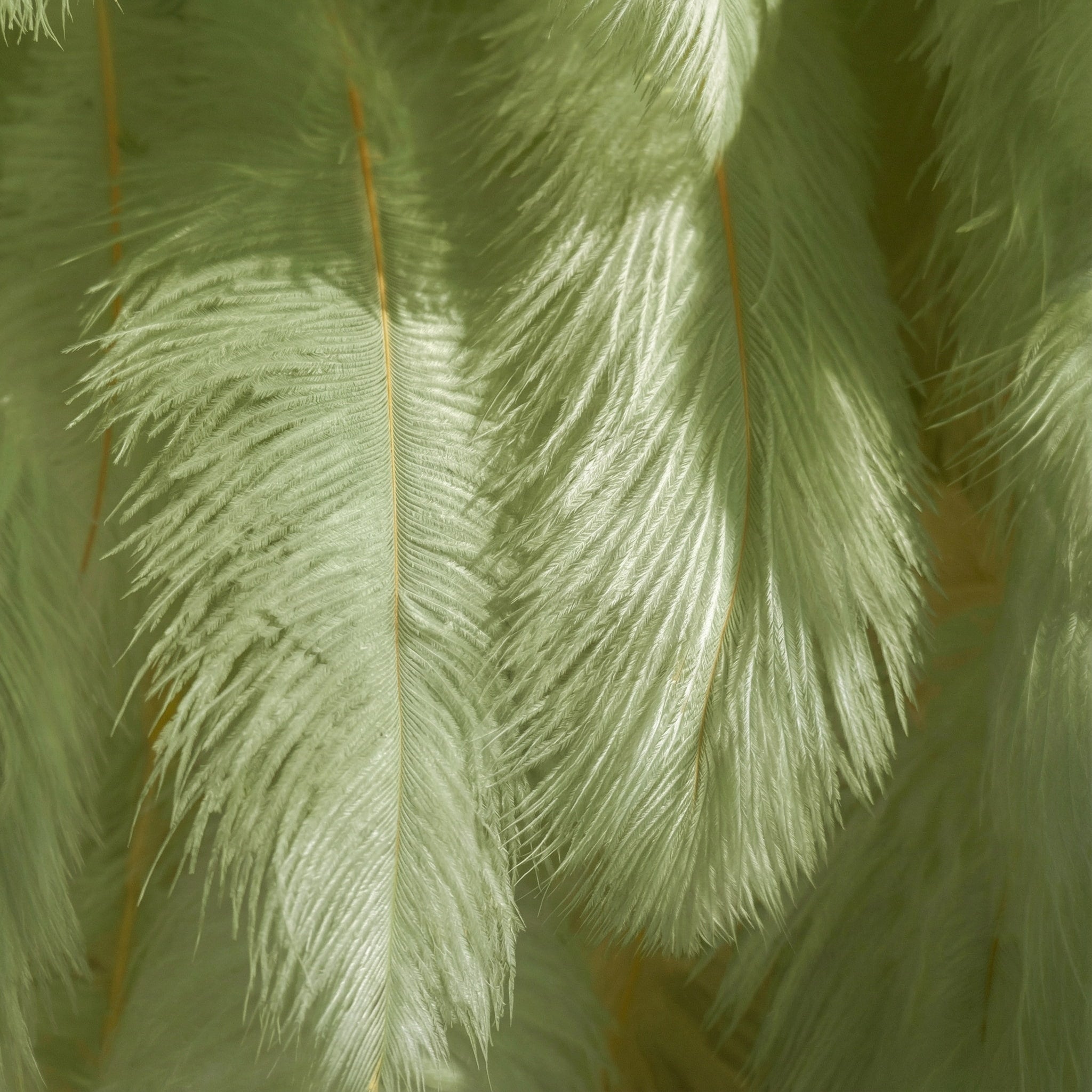 ValarFlowers Mint Green Artificial/ Avocado Feather Backdrop: Luxe Plume Display with 7+ Color Options & Custom Services. DIY Photo Booth Decoration-VF-164-Mint Green
