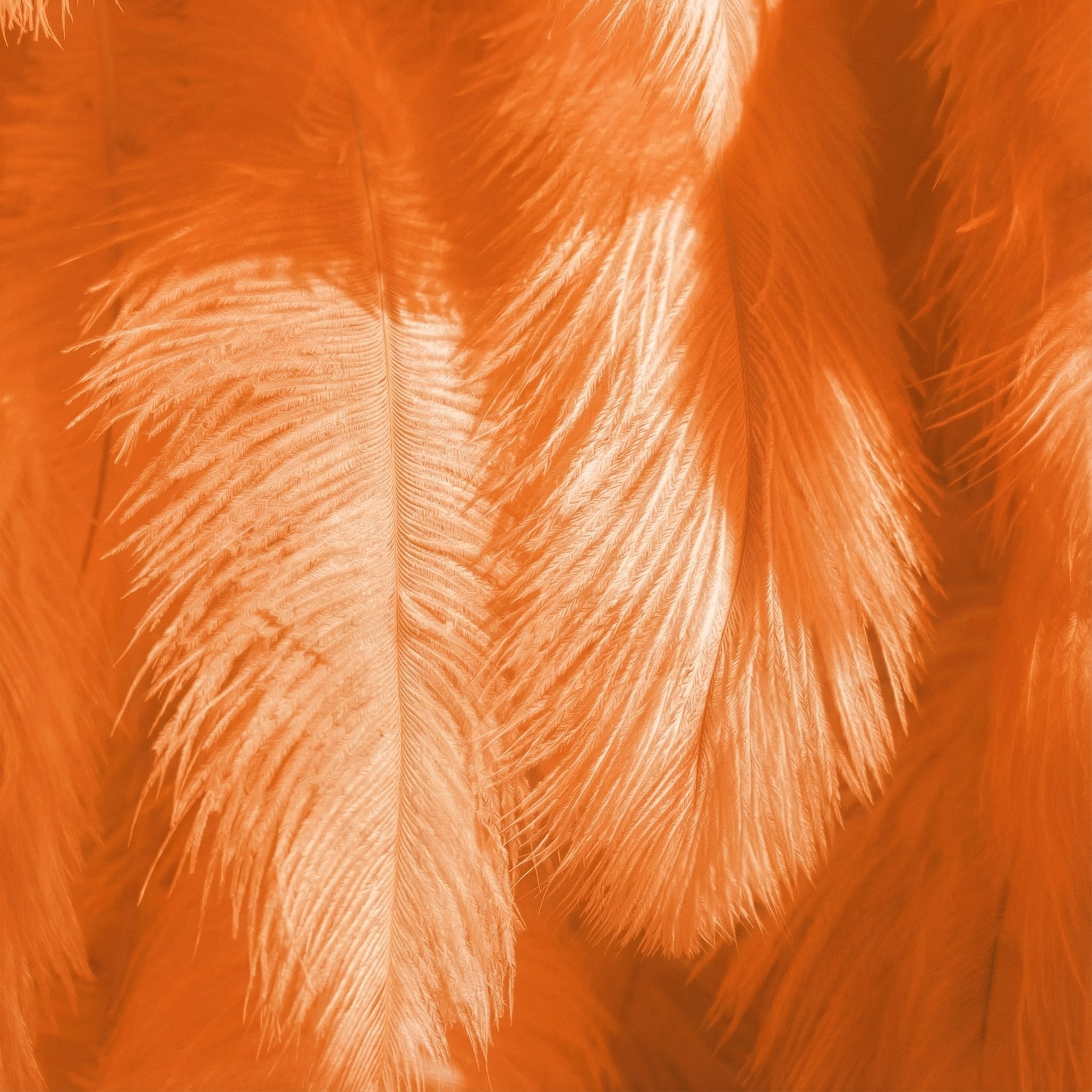 ValarFlowers Orange Artificial Feather Backdrop: Luxe Plume Display with 7+ Color Options & Custom Services. DIY Photo Booth Decoration-VF-164-Orange