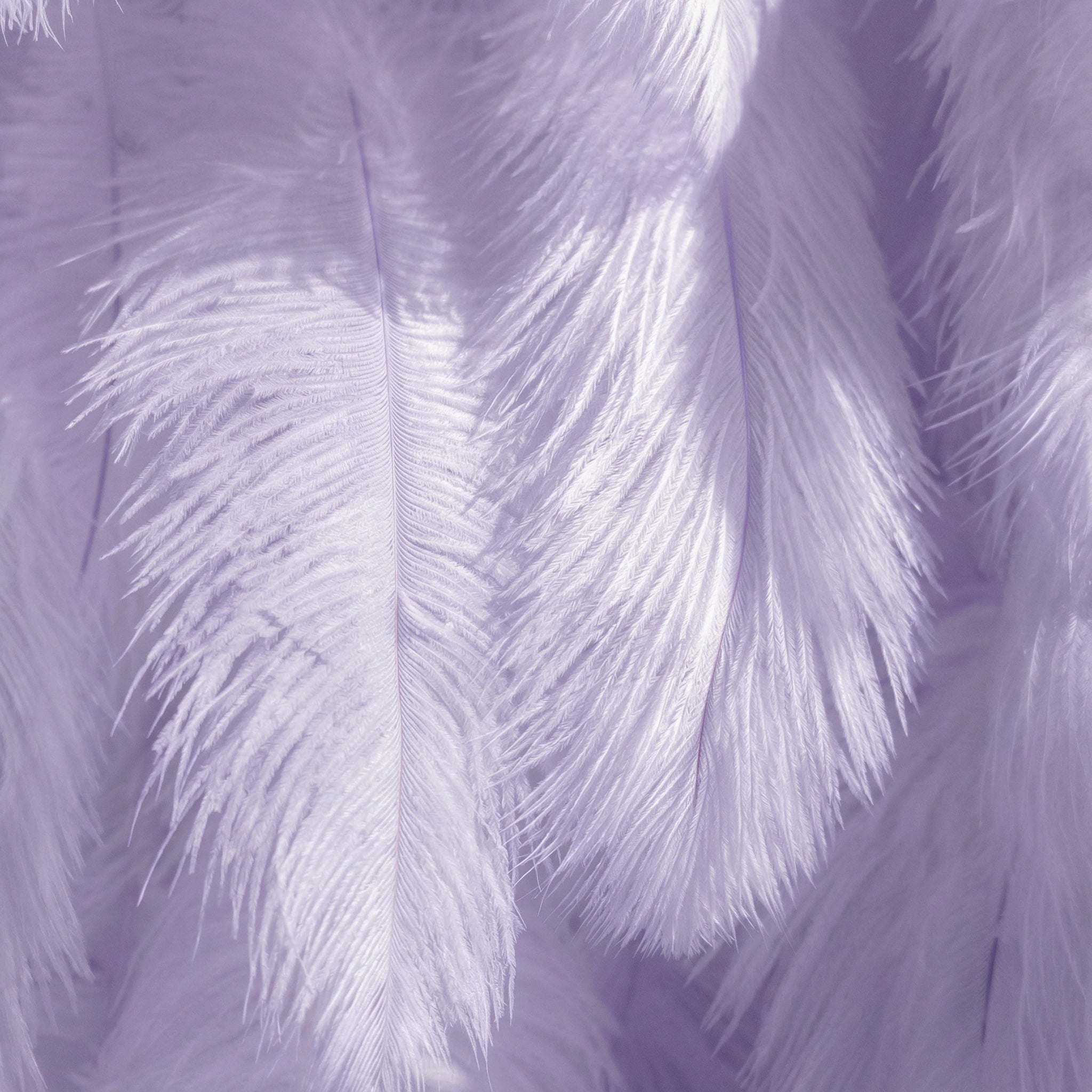 ValarFlowers Lavender Artificial Feather Backdrop: Luxe Plume Display with 7+ Color Options & Custom Services-VF-164-Lavender