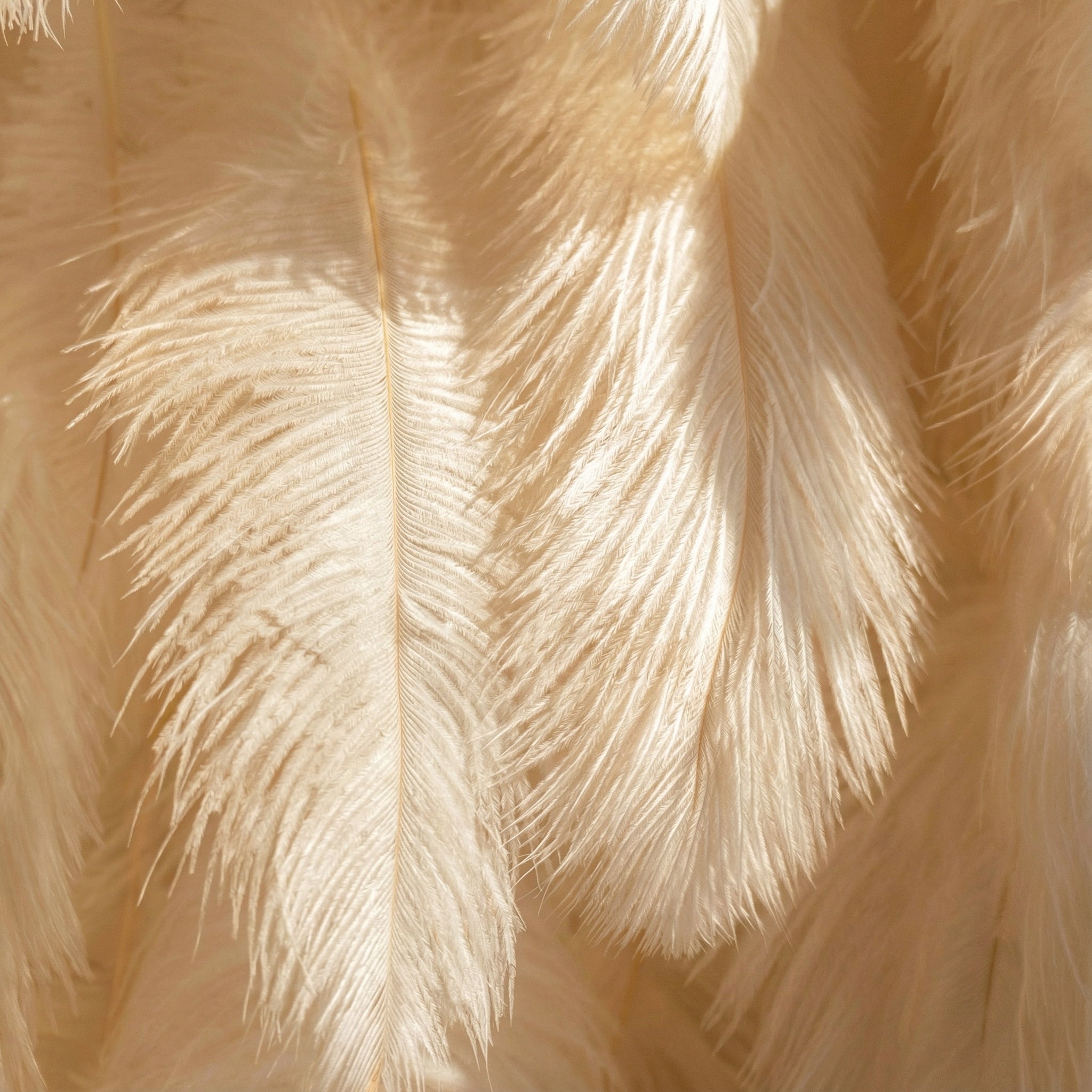 ValarFlowers Champagne Artificial Feather Backdrop: Luxe Plume Display with 7+ Color Options & Custom Services. DIY Photo Booth Decoration-VF-164-Champagne