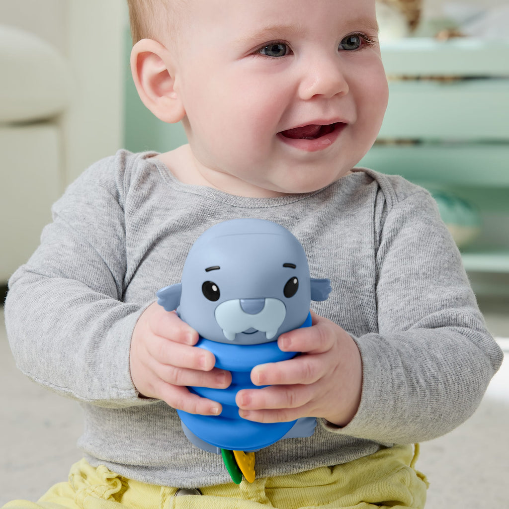 Fisher-Price Baby Juguete para Bebés Mordederas Animalitos del Mar
