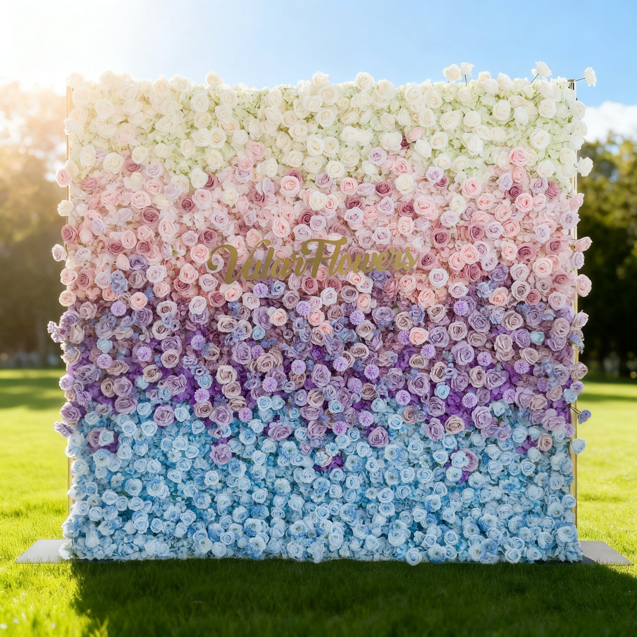 5D ValarFlowers Ombre Rainbow Artificial Flower Backdrop: A Breathtaking Floral Masterpiece for Events-VF-828-2