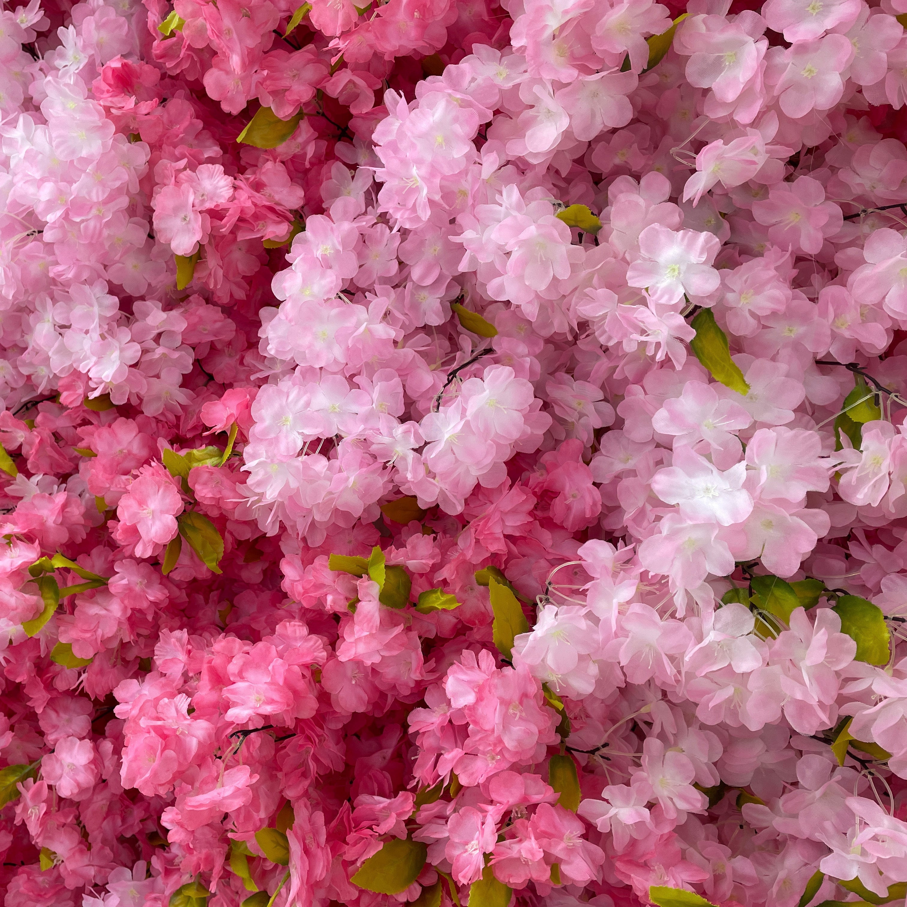 ValarFlowers Vibrant Hot Pink & Blush Cherry Blossom Flower Wall Backdrop: Bold Sakura Bloom Display - VF-836-2