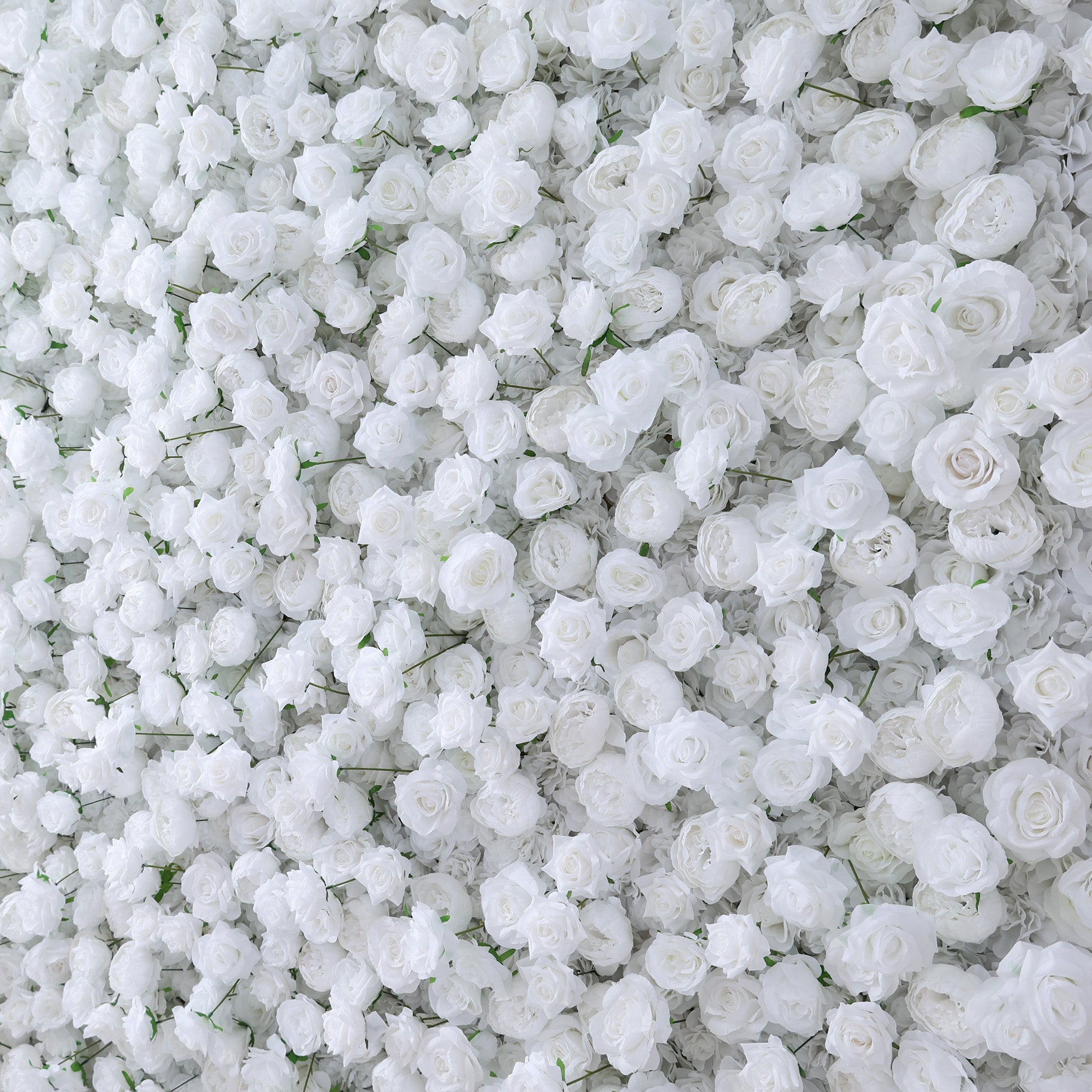 ValarFlowers All - White Rose Floral Extravaganza Wall: A Pure. Elegant Masterpiece for Timeless Occasions-VF-547