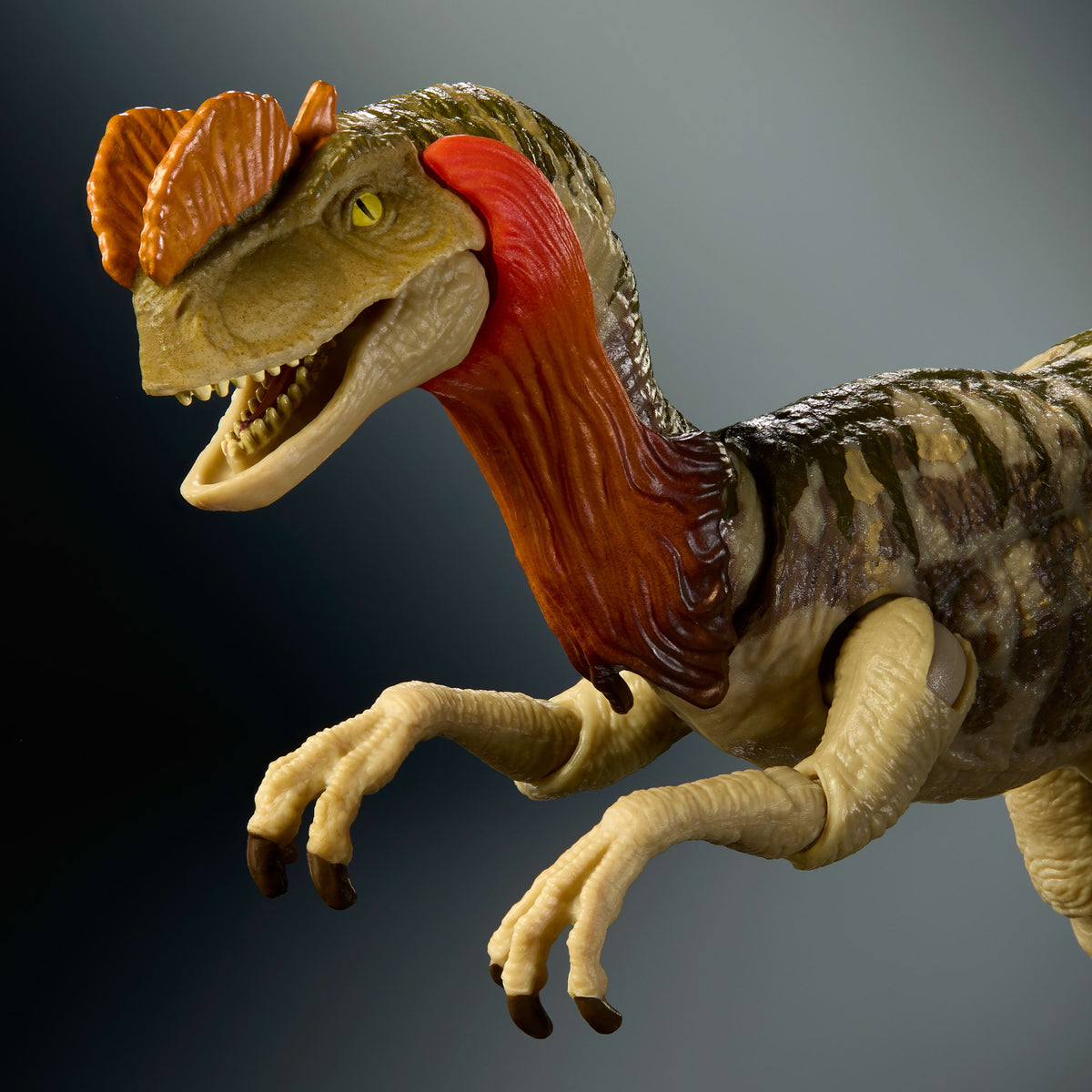 Jurassic World Hammond Collection Dilophosaurus Dinosaur Figure, Deluxe Design And Articulation