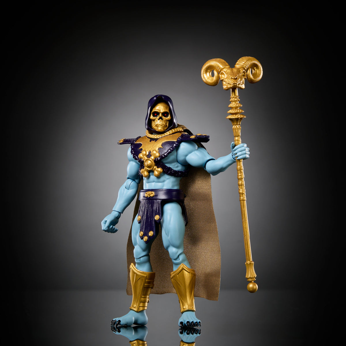 Masters Of The Universe Skeletor Action Figure Toy