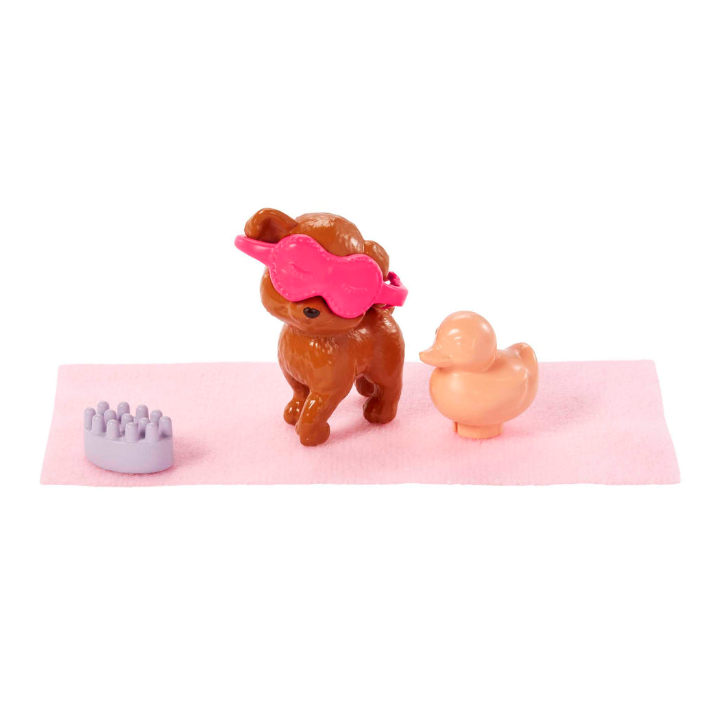 Barbie Self-Care Spa Day Possible Doll in Bathrobe With Puppy And Accessories