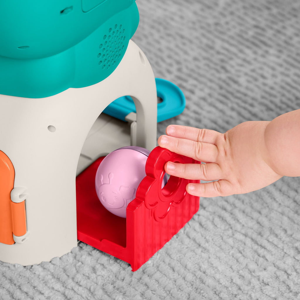 Fisher-Price Infant-Learning Juguete para Bebés Ranita Busca y Aprende