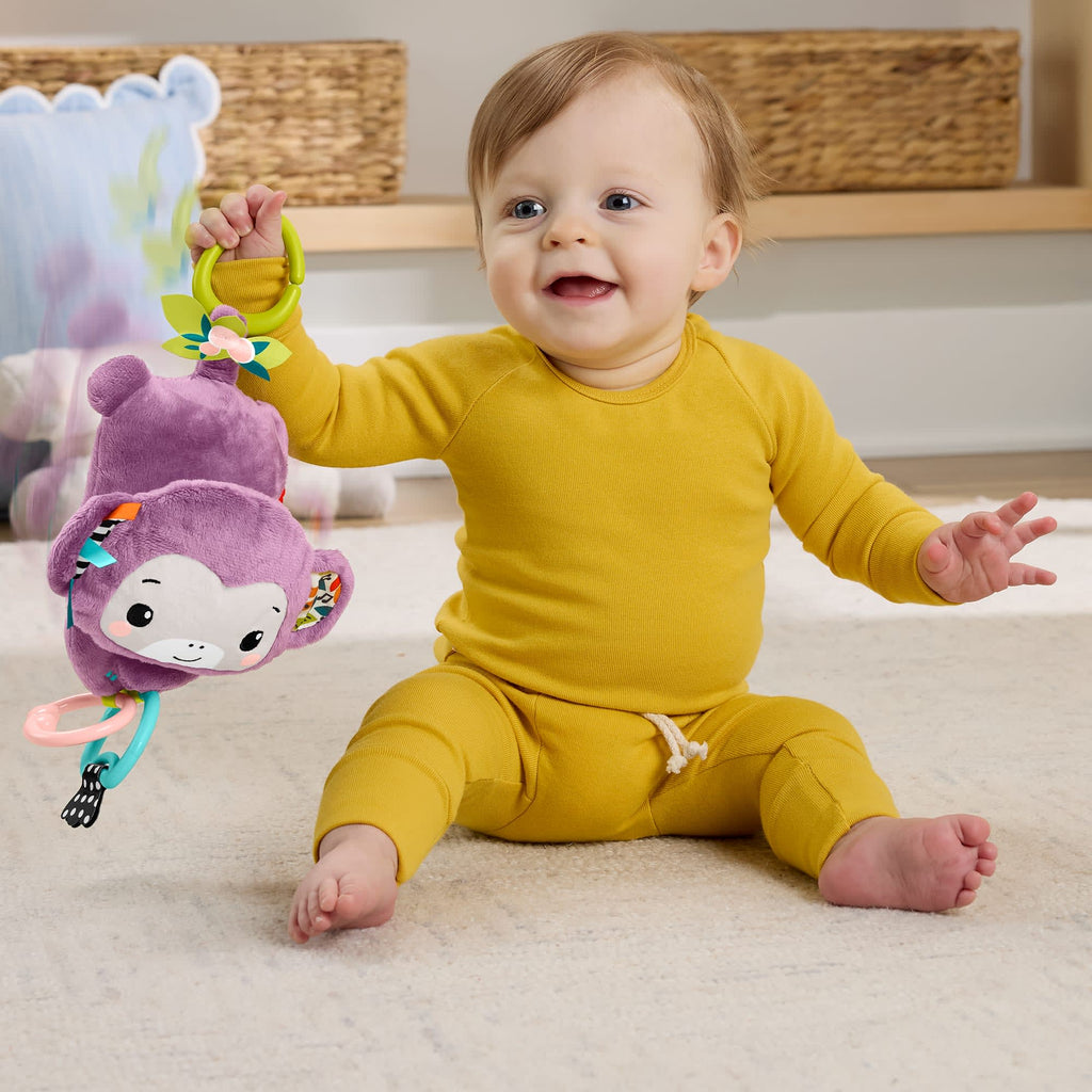 Fisher-Price® Singe Violet à Emporter
