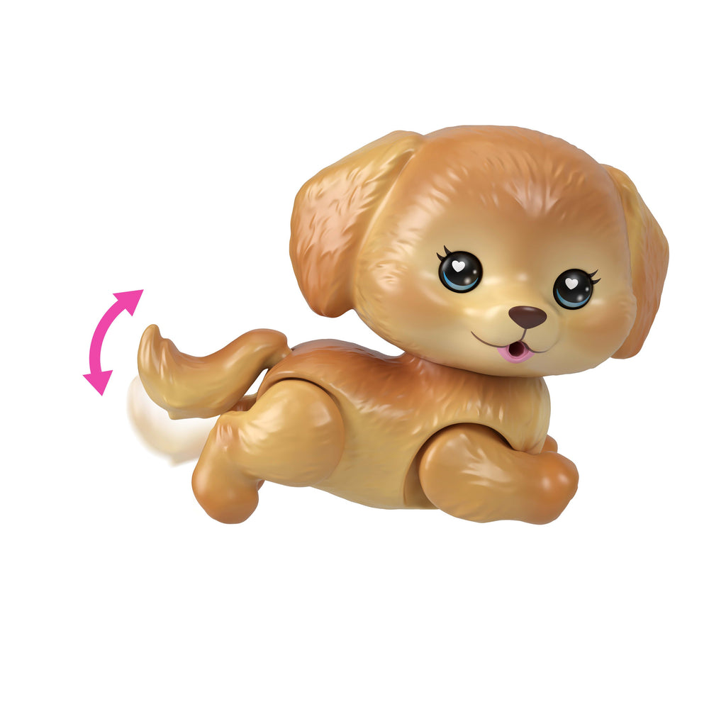 Barbie Dream Squad Pet Puppy And Pool With Color-Changing Accessories