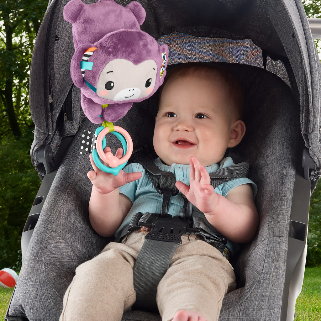 Fisher-Price Baby Juguete para Bebés Changuito Musical