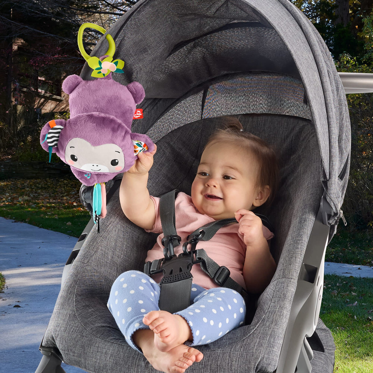 Fisher-Price® Singe Violet à Emporter