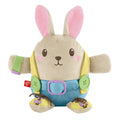 Fisher-Price Learn To Dress Bunny Plush Animal Doll Educational Activity Toy For Toddlers