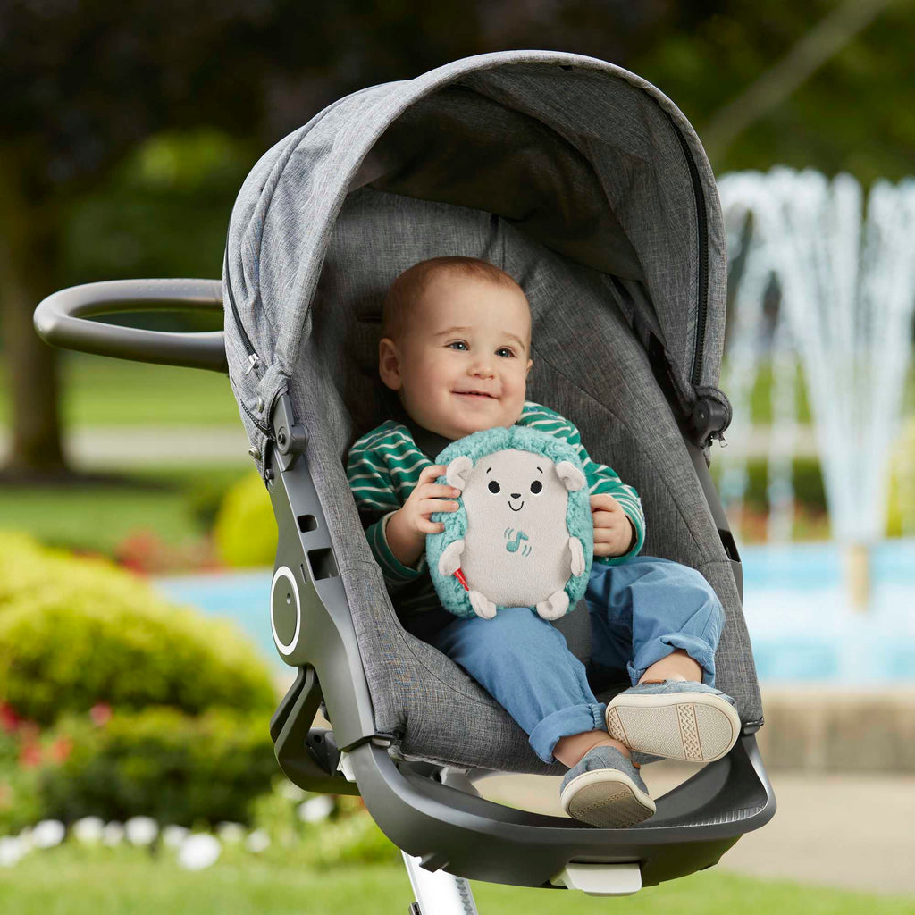 Fisher-Price Baby Juguete para Bebés Erizo Vibraciones Relajantes