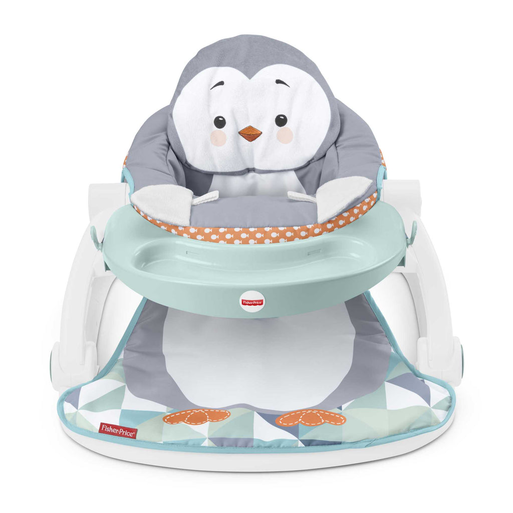 Fisher-Price®  Siège Jeu et Confort Avec Plateau de Jeu